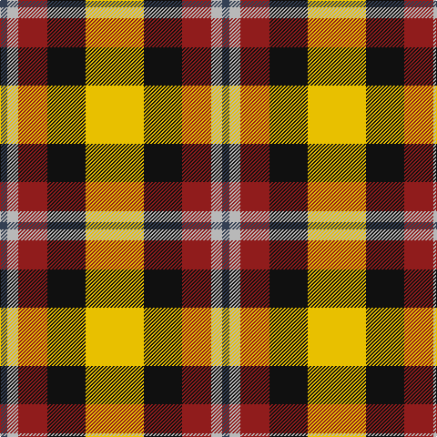 Tartan detail