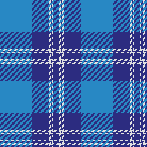 B/104 DB56 LN6 DB4 LN4 DB/20 tartan Tartan detail