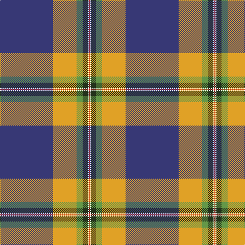Tartan detail