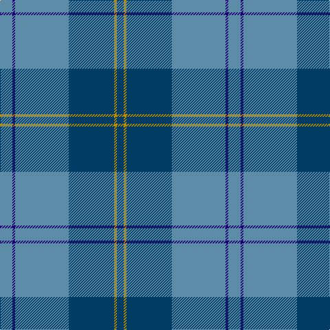 B/18 DB4 B78 DBa66 DY4 DBa/10 tartan Tartan detail