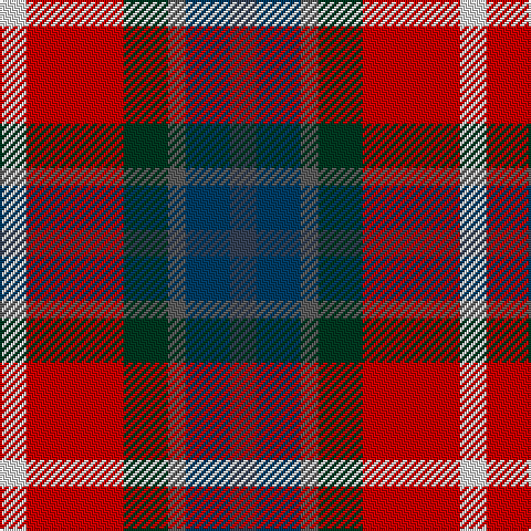 LN/12 R44 DG20 N8 DB20 Na/12 tartan Tartan detail