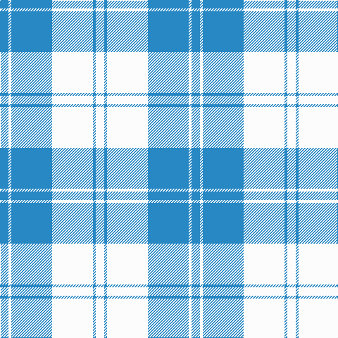 Tartan detail