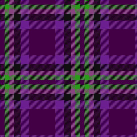 Tartan detail