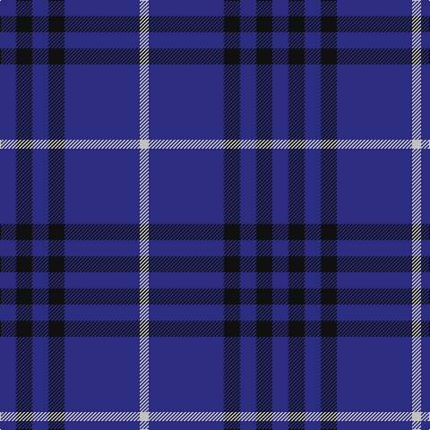 Tartan detail
