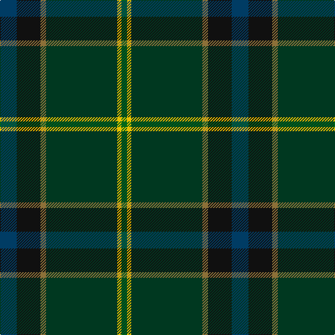 DB/24 K34 LT8 DG102 Y6 G/8 tartan Tartan detail