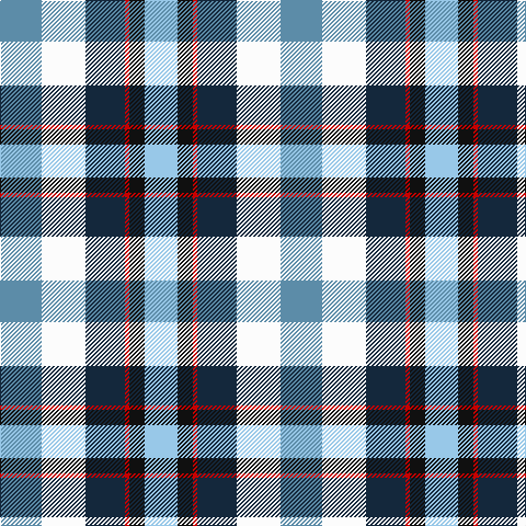 B/38 W40 DN36 R4 K14 LB/30 tartan Tartan detail