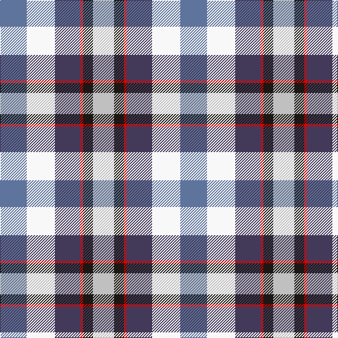 B/38 W40 N36 R4 K14 Na/30 tartan Tartan detail
