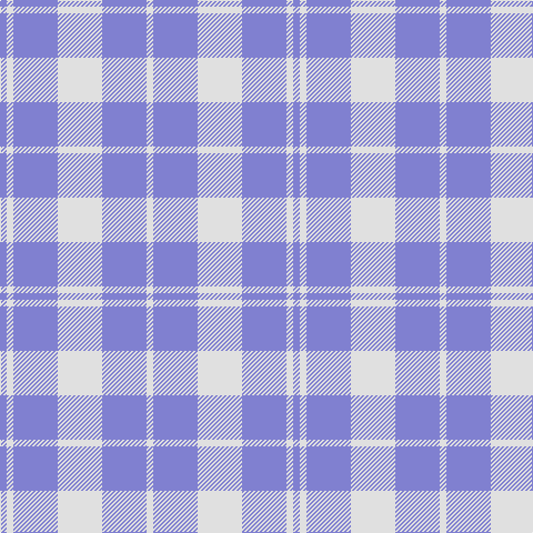 B/6 LN6 B40 LN40 B40 LN/6 tartan Tartan detail