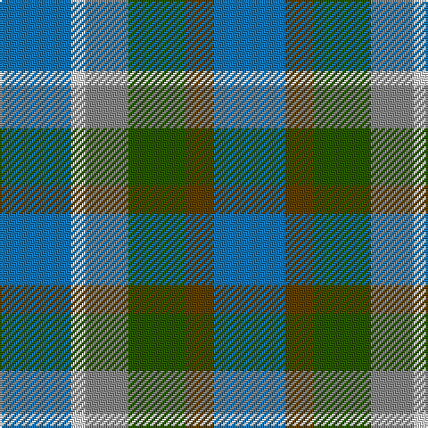 Tartan detail
