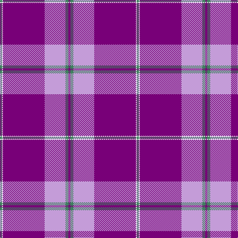 G/4 W2 P84 LP42 G6 P/4 tartan Tartan detail