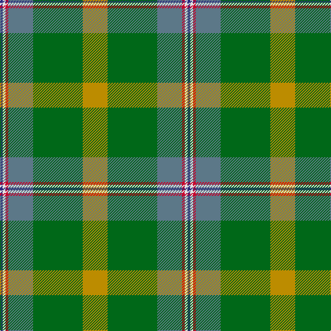DB/4 LN4 R4 B36 G72 DY/36 tartan Tartan detail