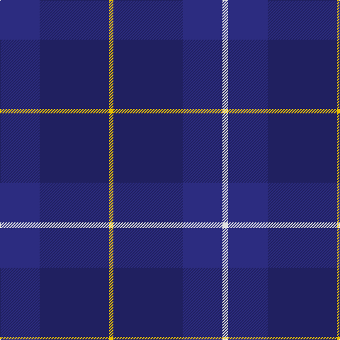 DB/56 DBa98 Y6 DBa98 DB56 LN/8 tartan Tartan detail
