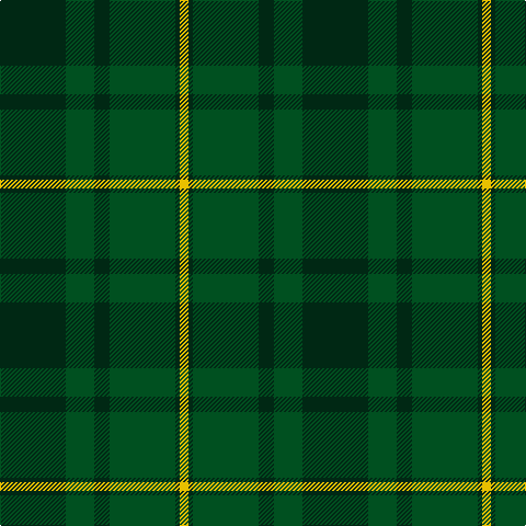 Tartan detail