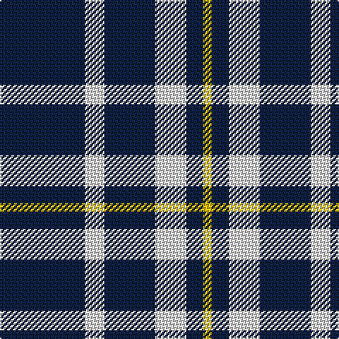 DB/60 LN14 DB36 LN22 DB12 Y/6 tartan Tartan detail