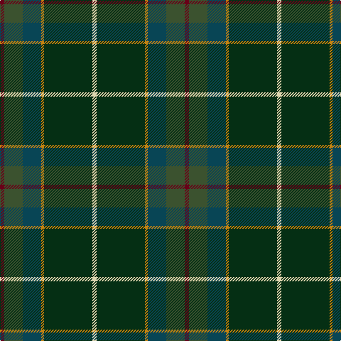 Tartan detail