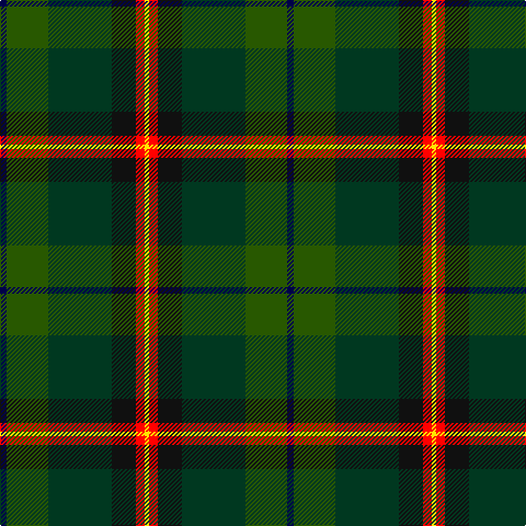 DB/6 G38 DG58 K22 R8 Y/4 tartan Tartan detail