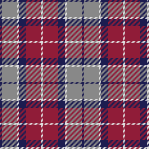 Tartan detail