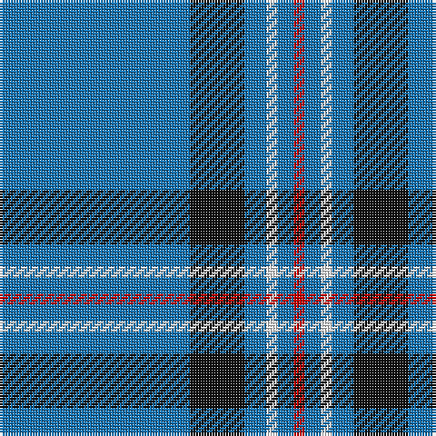 Tartan detail