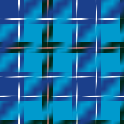 Tartan detail