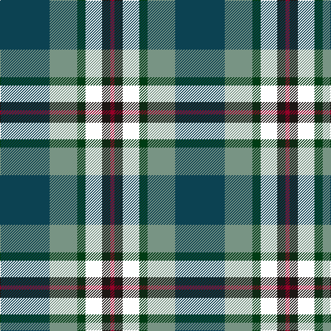 DB/72 LG40 DG12 W24 K12 DR/6 tartan Tartan detail