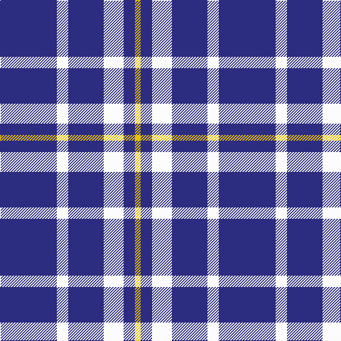 Tartan detail