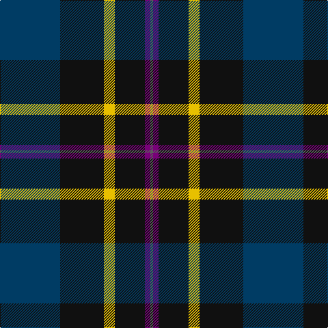 DB/88 K64 Y16 K44 P8 N/4 tartan Tartan detail