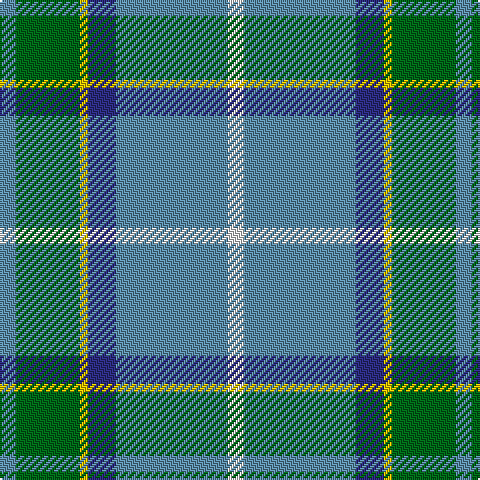 Tartan detail