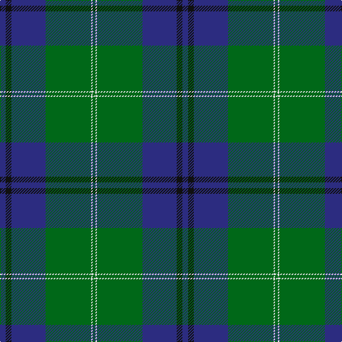 DB/8 K8 DB48 G64 LN2 G/4 tartan Tartan detail