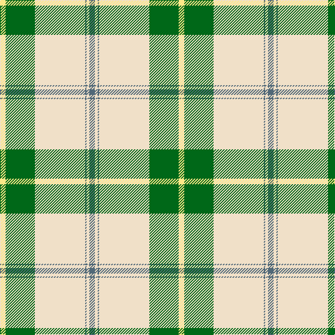 LY/8 G42 W72 N2 W4 N/8 tartan Tartan detail