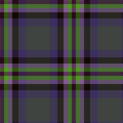 Tartan detail