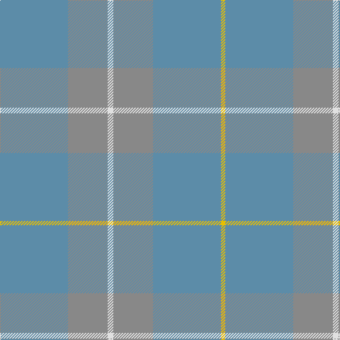 B/96 N56 LN8 N56 B96 Y/6 tartan Tartan detail