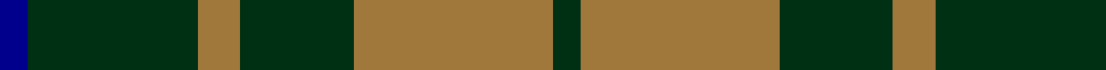 Confederate Infantry example sett