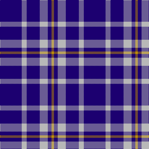 DB/70 N16 DB42 N26 DB12 DY/8 tartan Tartan detail