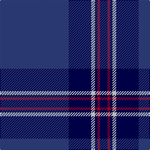 B/110 DB36 LN6 DB4 R4 DB/12 tartan Tartan detail