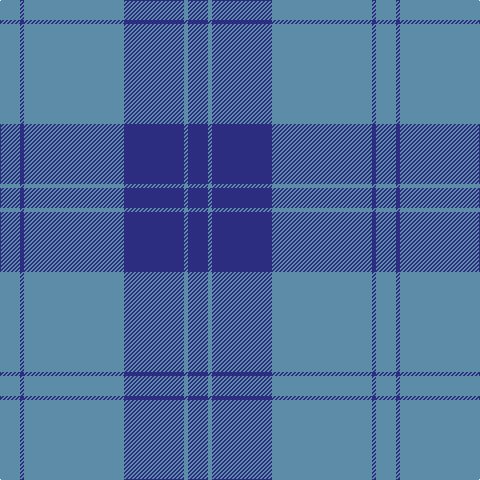 B/20 DB4 B100 DB60 B4 DB/20 tartan Tartan detail