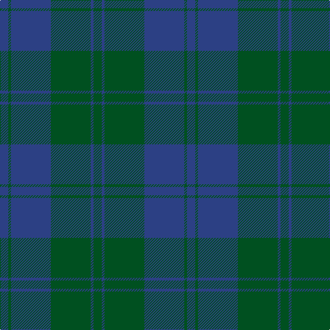 B/12 G4 B58 G58 B4 G/12 tartan Tartan detail