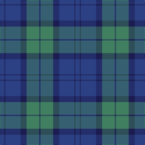 B/14 DB4 B50 DB20 G42 DB/4 tartan Tartan detail