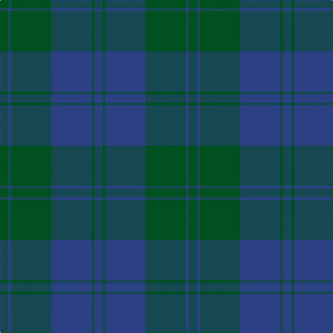 G/12 B4 G58 B58 G4 B/12 tartan Tartan detail