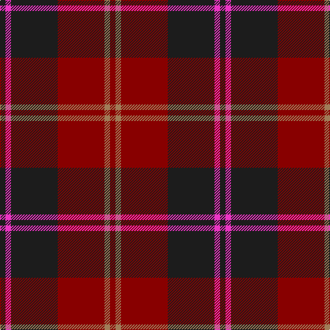 DR/8 LT8 DR68 K68 LR8 K/8 tartan Tartan detail