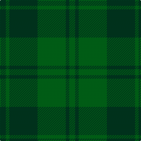 DG/10 G6 DG48 G48 DG6 G/10 tartan Tartan detail