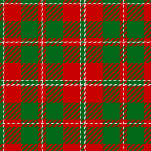 G/10 LN4 R54 G54 R10 LN/4 tartan Tartan detail
