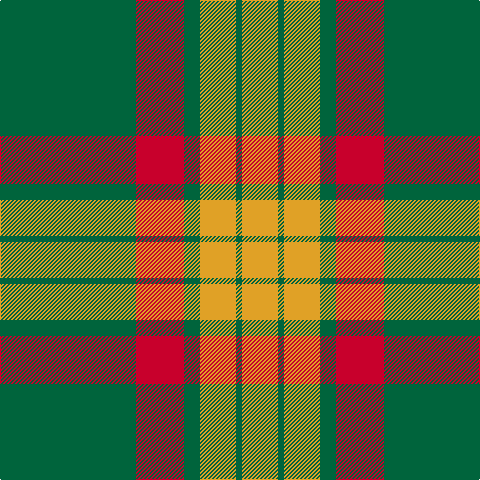 G/136 R48 G16 Y36 G6 Y/36 tartan Tartan detail