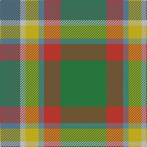 B/33 LN9 Y21 Ba9 R27 G/75 tartan Tartan detail
