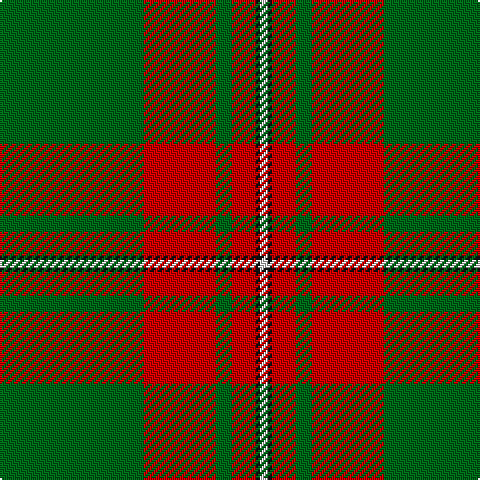 G/72 R36 G8 R12 K2 LN/4 tartan Tartan detail