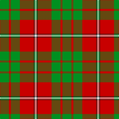G/36 R8 G36 R56 K4 LN/8 tartan Tartan detail