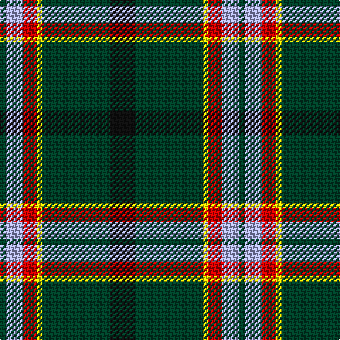 Tartan detail