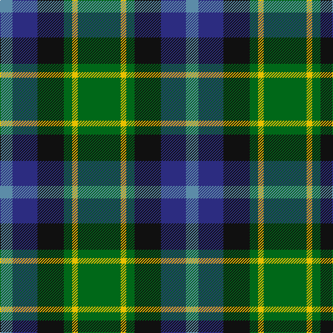 B/18 DB36 K38 G12 Y8 G/62 tartan Tartan detail