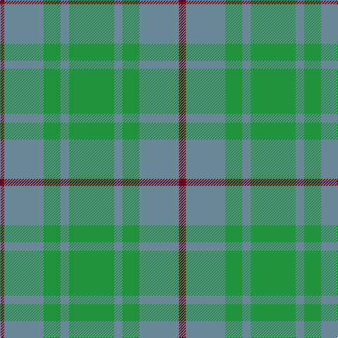 Tartan detail