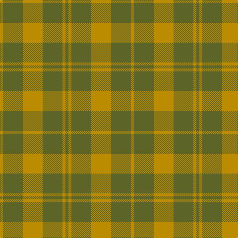 Tartan detail