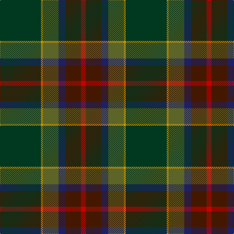 Tartan detail